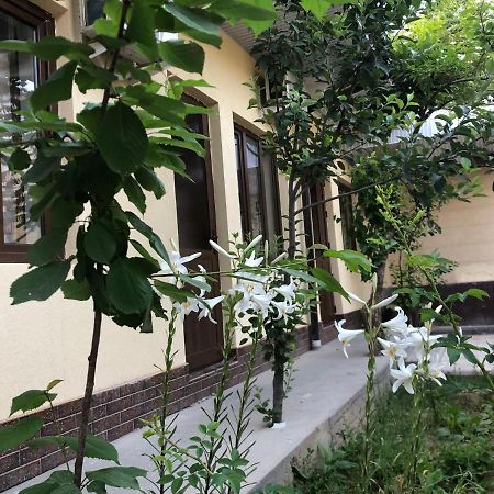 Дом Отель Бадамзар Taskent Exterior foto